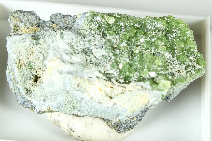 Sparkling Demantoid Garnet Cluster in Matrix - California #379781